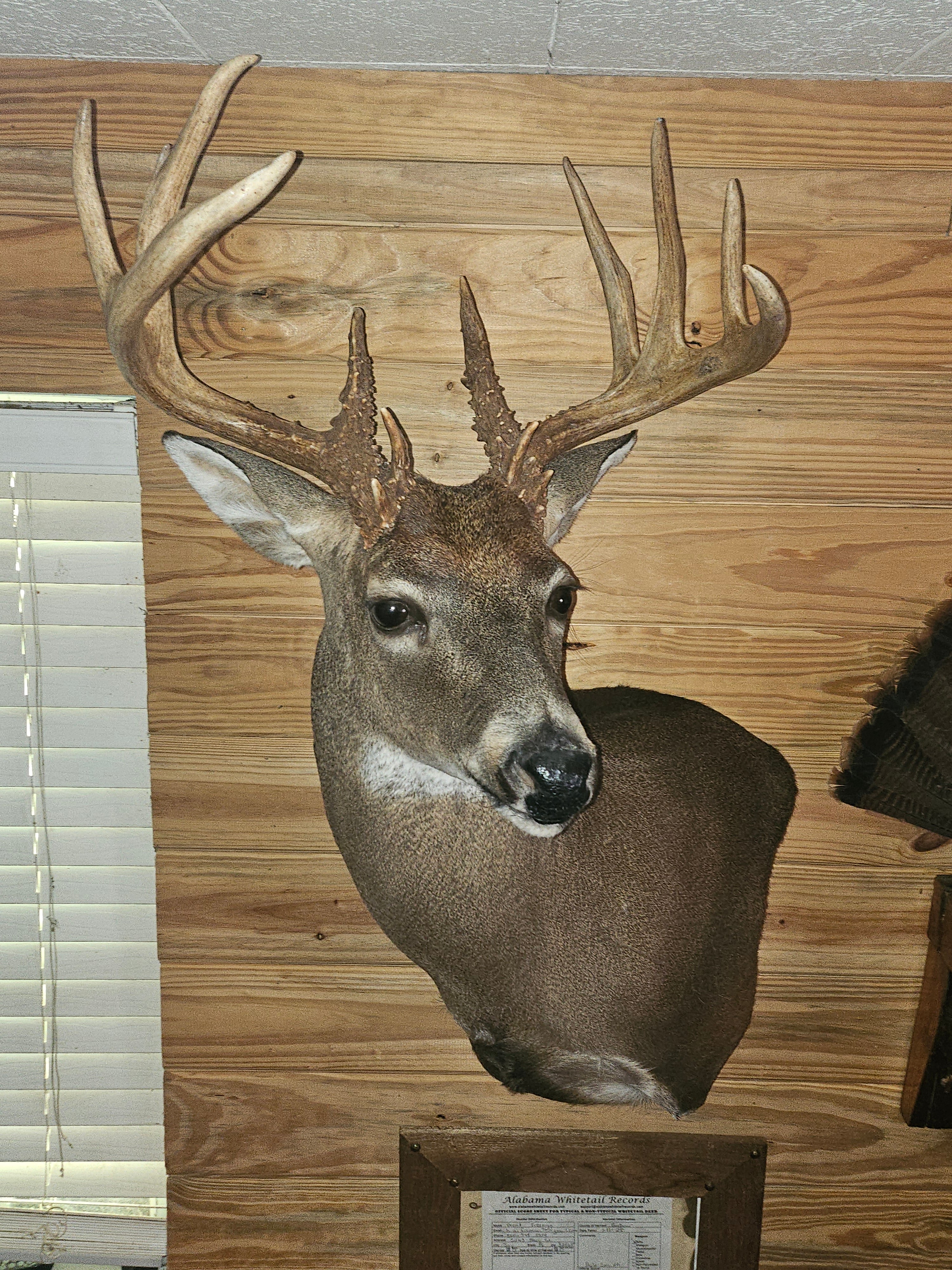 Hunting & Outdoors