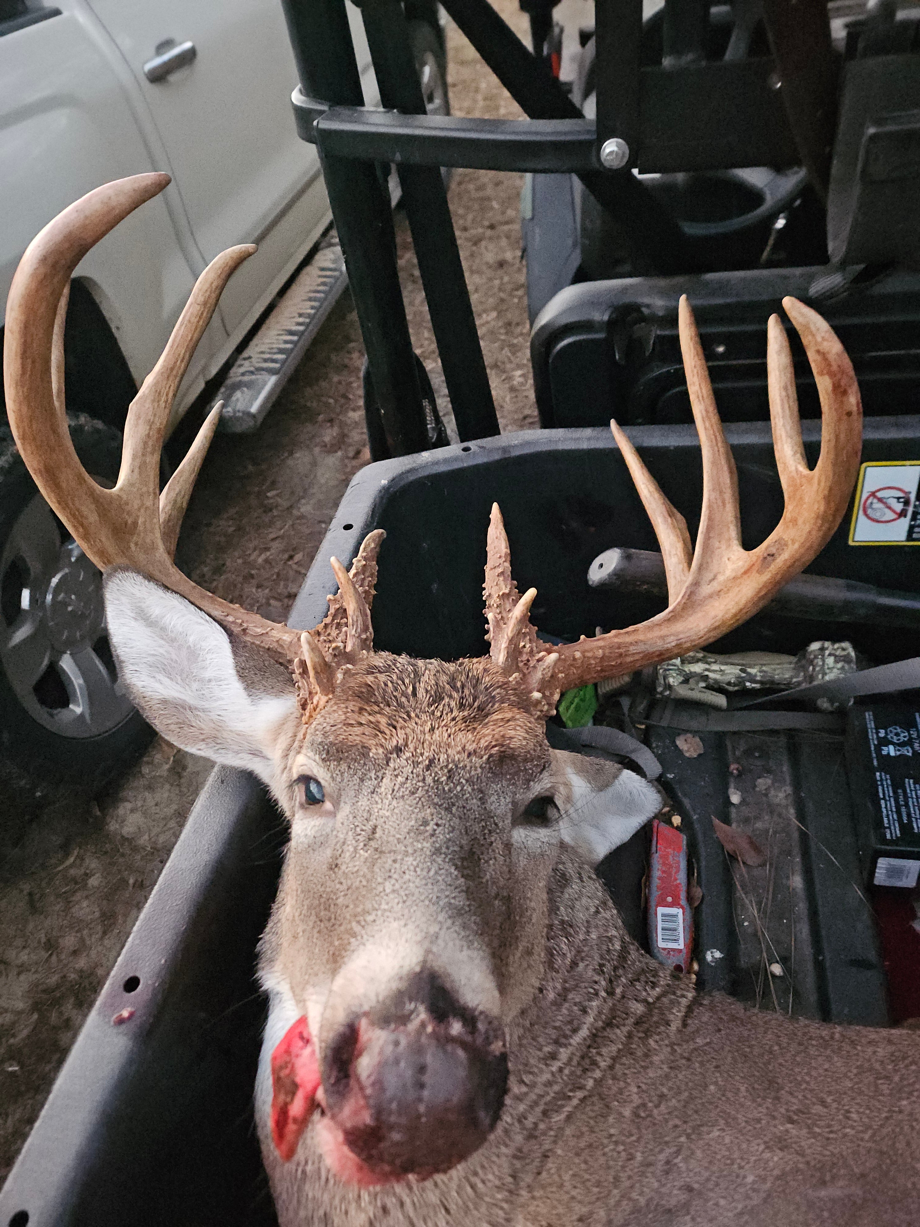 5 Kill Plot Mistakes That Keep You From Seeing Big Bucks