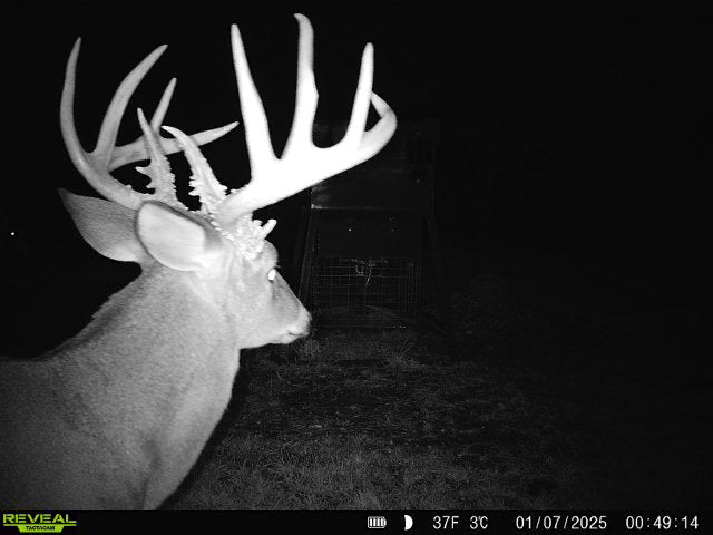 5 Kill Plot Mistakes That Keep You From Seeing Big Bucks