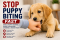Stop Puppy Biting Fast – Simple Puppy Training Guide For Nipping, Chewing & Rough Play