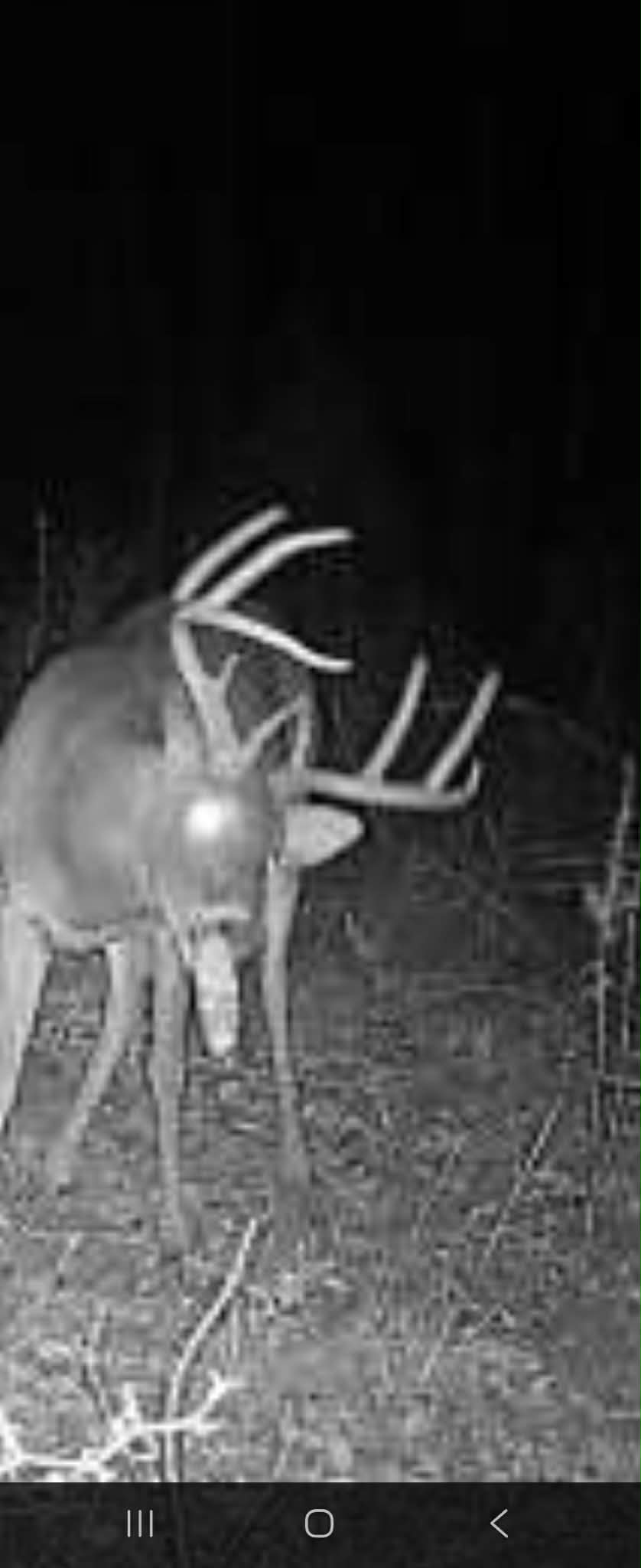 Southern Rut Tracker