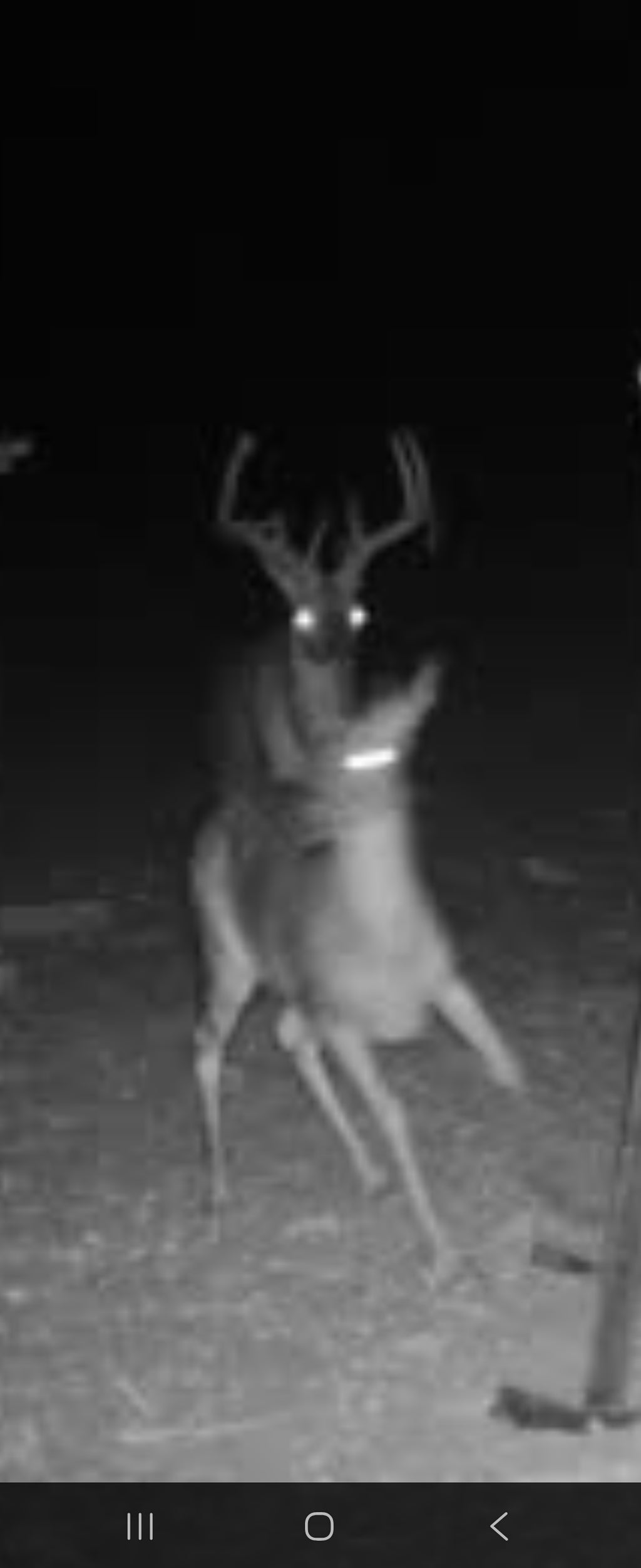 Southern Rut Tracker