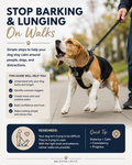 Reactive Dog Support Guide – Stop Barking, Lunging & Overreacting Behaviors