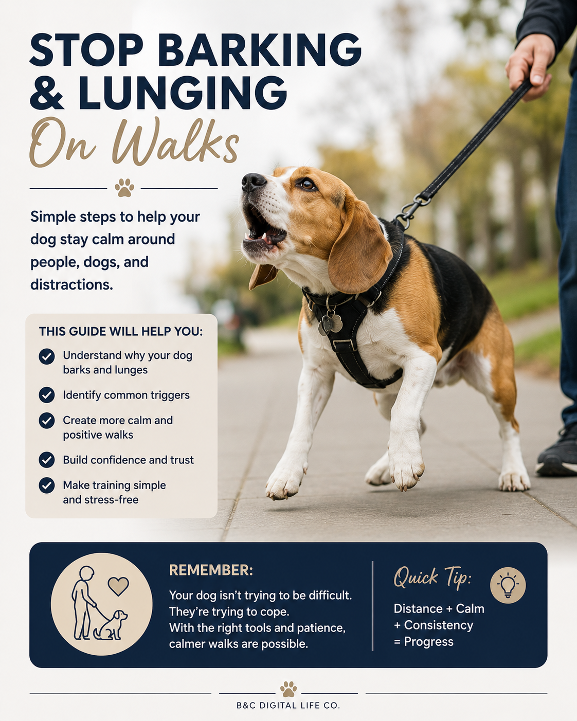 Reactive Dog Support Guide – Stop Barking, Lunging & Overreacting Behaviors